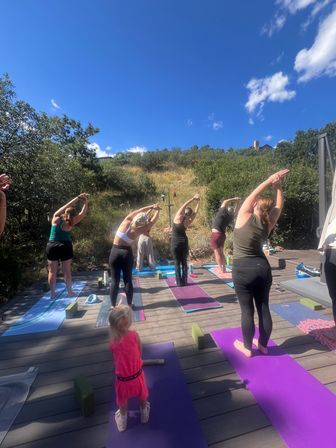 Kate Teaches Yoga: Private Customizable Vinyasa Flow at Your Home, Rental, or Outdoor Space in & around Denver, CO image 20