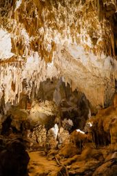 Scape Park & Blue Cenote Full Day Adventure image 7