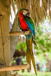 Scape Park & Blue Cenote Full Day Adventure image 9