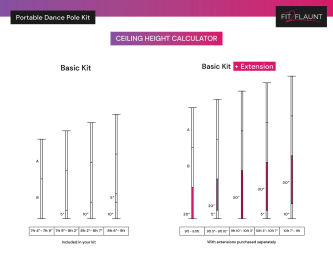 All-Inclusive Pole Dance Party: Celebrate Anything, Anywhere—Studio or On the Go! image 7