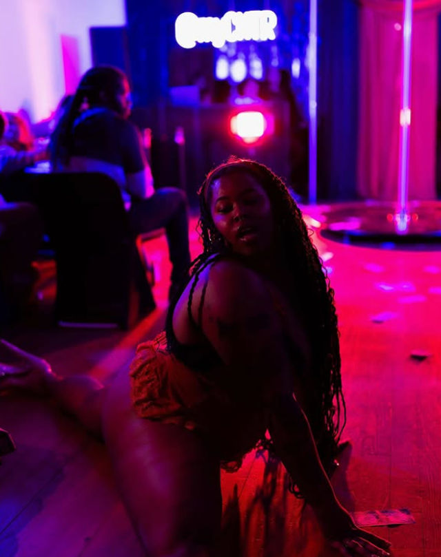 All-Inclusive Pole Dance Party: Celebrate Anything, Anywhere—Studio or On the Go! image 4