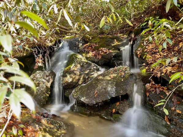 Asheville Land Of Waterfalls: Hiking, Yoga, Waterfalls & Mocktails image 10