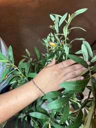 Celebrate Life's Special Moments with Permanent Jewelry by Linked Visions image 20