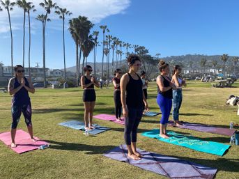 Private Insta-Worthy Beach Yoga Session image 7