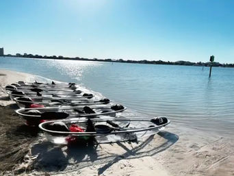 Glass Bottom Kayaking Over Key West's Clear Waters, Marine Life & Coral Reefs: Guided Tour or Day Rental Options image 4