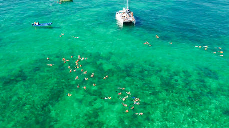 Dancer Cruise to Isla Mujeres: Snorkel, Dance, Play & Vibe image 4
