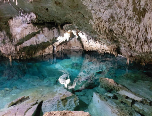 Frogman Private Tours: Diving, Snorkeling, Cenotes, Ruins & Cerveza image 2