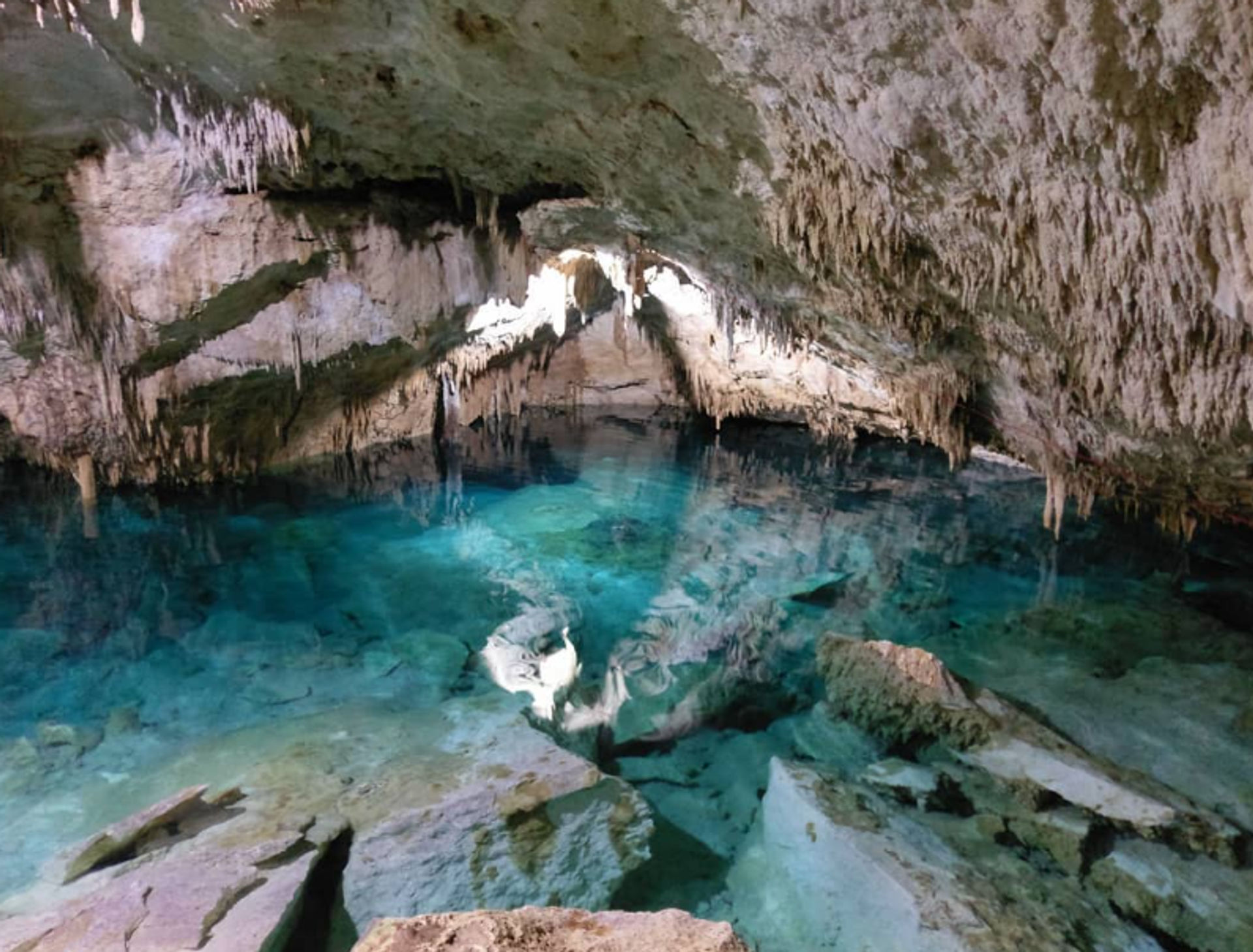 Frogman Private Tours: Diving, Snorkeling, Cenotes, Ruins & Cerveza image 2