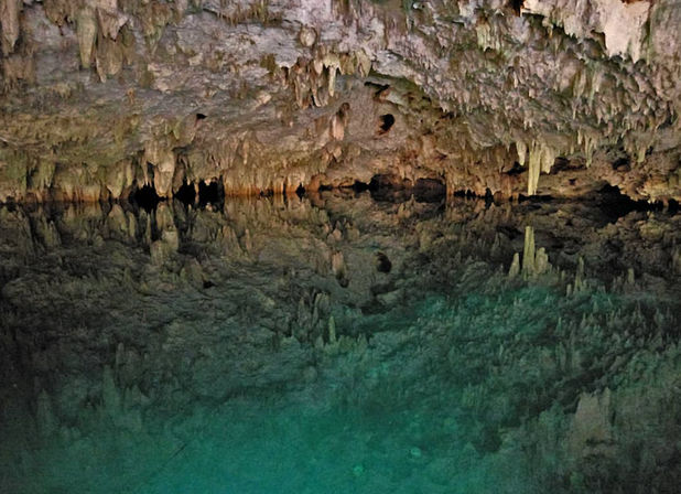 Frogman Private Tours: Diving, Snorkeling, Cenotes, Ruins & Cerveza image 11