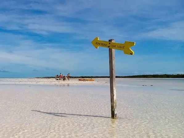 Full-Day Guided Boat Tour of Holbox Island image 4