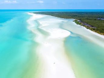Full-Day Guided Boat Tour of Holbox Island image 6