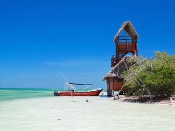 Full-Day Guided Boat Tour of Holbox Island image 3