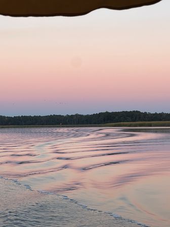 Private & Catered Sunset Cruise: A Luxury, 100% Electric, Captained Boat Charter image 11