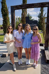Custom Wine Tour by 830 Elevated image 3
