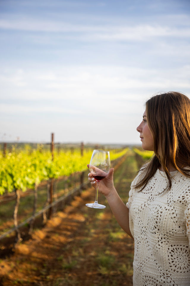 Custom Wine Tour by 830 Elevated image 4