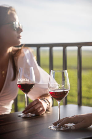 Custom Wine Tour by 830 Elevated image 1