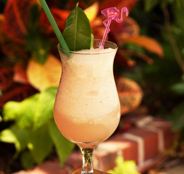The Toasted Coconut image 4