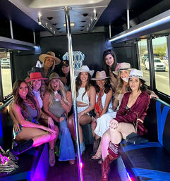 Scottsdale BYOB Limo Party Bus with Stripper Pole, Pickup & Drop-off, Sound System, and Lights image 6