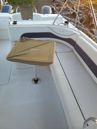 Private Crab Island Charter with Dolphins & Snorkeling image 9