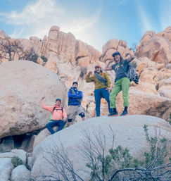 Guided Rock Climbing in Joshua Tree National Park image 3