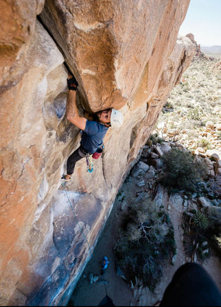 Guided Rock Climbing in Joshua Tree National Park image 17