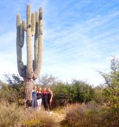 Stunning Bad-Ass Sonoran Desert Adventure with Tour Driver image 3
