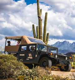 Stunning Bad-Ass Sonoran Desert Adventure with Tour Driver image 2