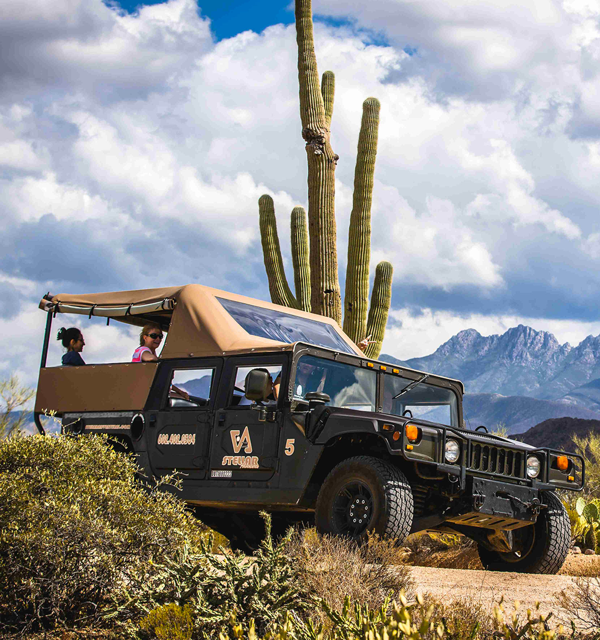 Stunning Bad-Ass Sonoran Desert Adventure with Tour Driver image 2