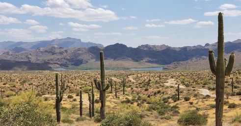 Stunning Bad-Ass Sonoran Desert Adventure with Tour Driver image 7