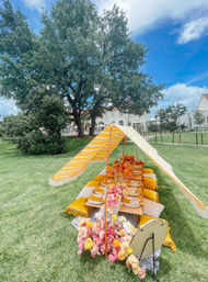 Luxury Picnic Party with Brunch, Happy Hour, and Champagne Setup Options image 7