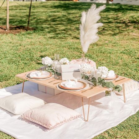 Luxury Picnic Party with Brunch, Happy Hour, and Champagne Setup Options image 9