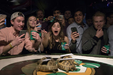 Weekend Turtle Racing with Unlimited Drinks, Live DJ/MC, Giveaways & More at The Tin Lizzie image 2