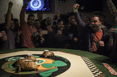 Weekend Turtle Racing with Unlimited Drinks, Live DJ/MC, Giveaways & More at The Tin Lizzie image 4