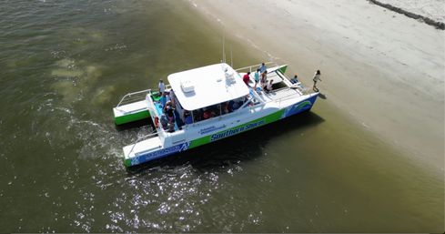   All Aboard Myrtle Beach's Only Dolphin & Island Catamaran Cruise image 4