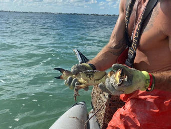 Fishing Charter on the SUV of the Sea: Luxury Private Boat Rental image 4