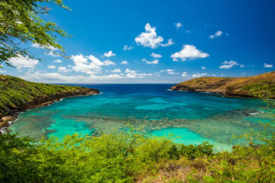 Private Hawaii Drone Tour: Aerial Photography Experience image 2