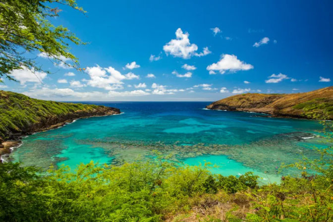 Private Hawaii Drone Tour: Aerial Photography Experience image 2