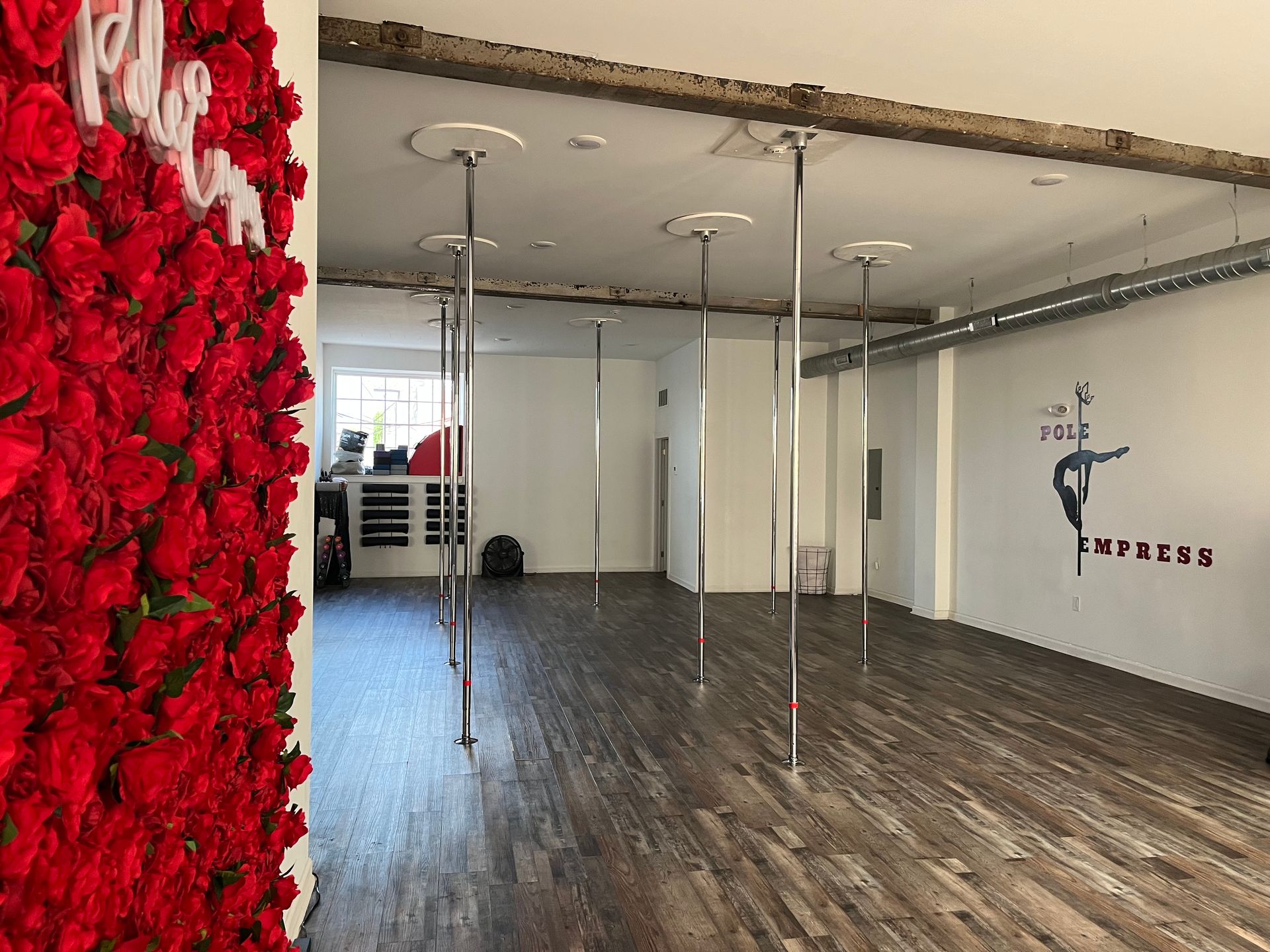 Pole Dance Party: Celebrate in Style at Pole Empress image 1