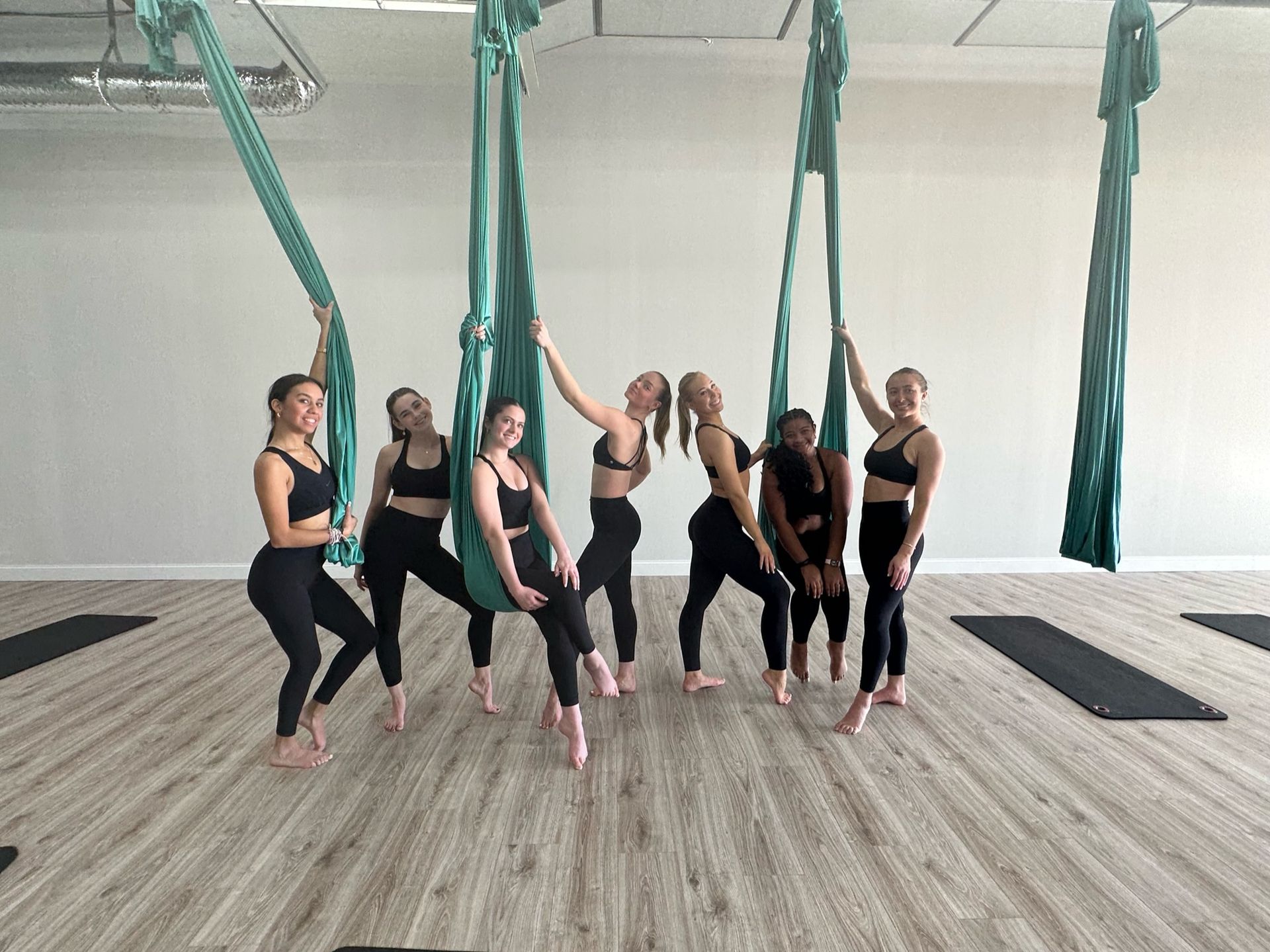 Elevate Your Celebration: Private Aerial Party & Fitness Fun image 2