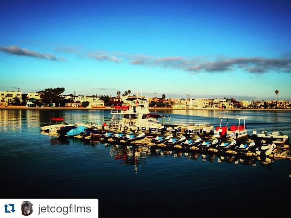Moonlit Bay Cruise with Captain & Crew: BYOB & Let the Night Unfold image 12
