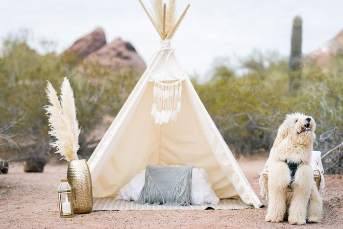 BYOB Desert Picnic with Insta-Worthy Grazing Tables and Custom Beautiful Floral Displays image 6