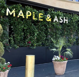 Maple & Ash image 6