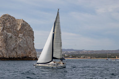 Private Snorkeling and Sailing Cruise on Luxury 38’ Sailboat: Food, Cocktails and More! image 8