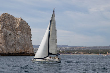 Private Snorkeling or Sunset Sailing in Cabo Aboard Lux 38' Sailboat image 7