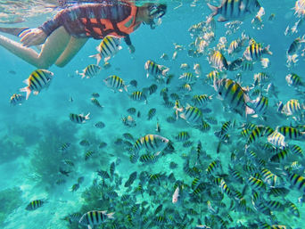 Ultimate Bachelor Boat Trip in Cancun: Fishing & Snorkeling Combo Package image 2