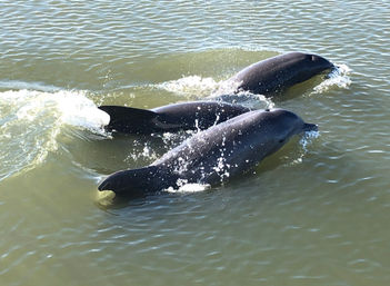Private 3-Hour Cruise and Beach Excursion (Up to 6 Guests) image 9
