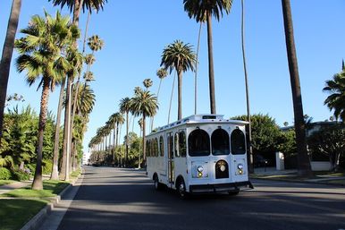 Hollywood Sightseeing Trolley Bus Tour in Los Angeles image