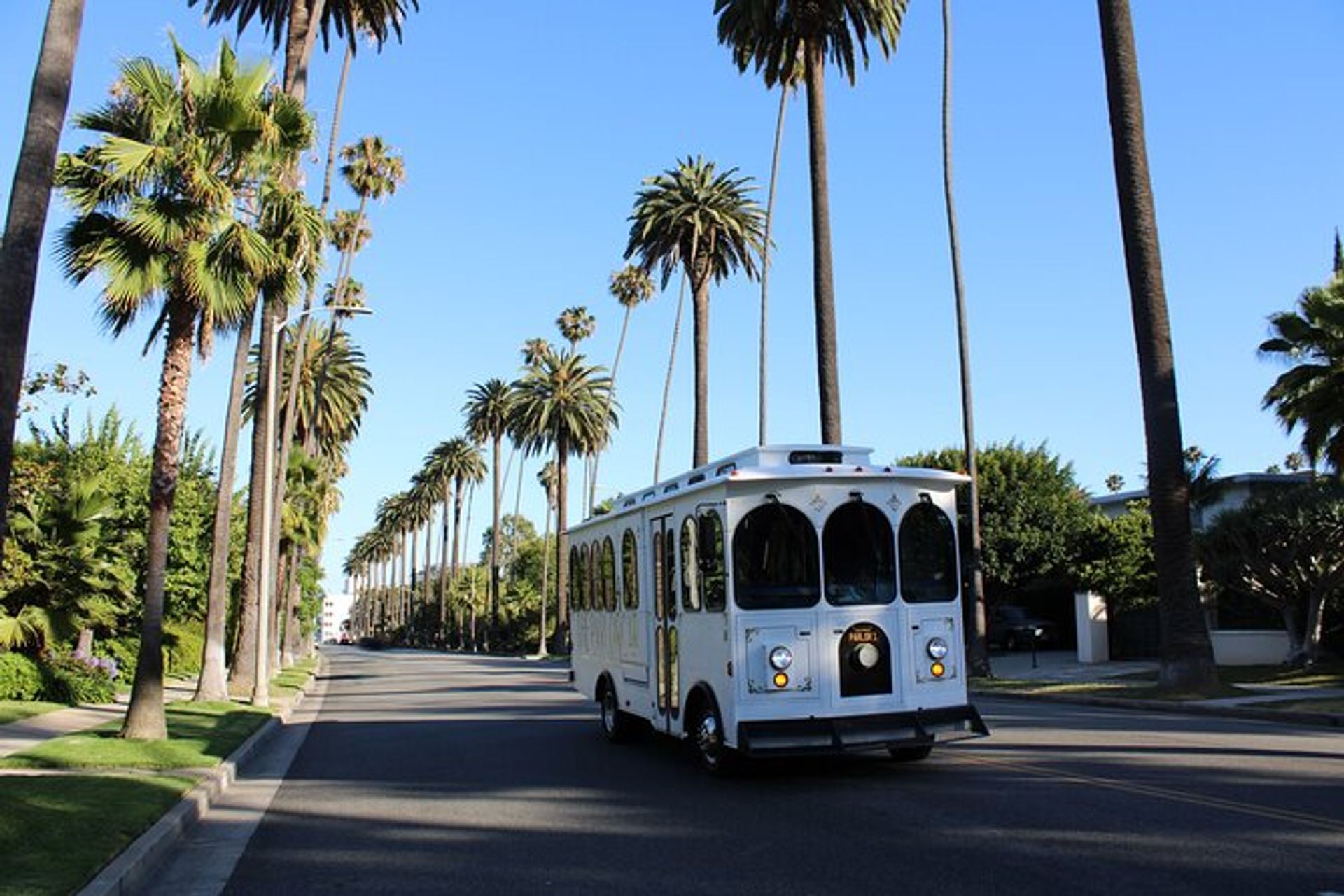 Luxury Hollywood Sightseeing Trolley Bus Tour in Los Angeles image 1