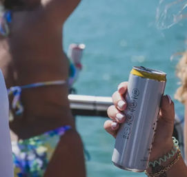 4-Hour Sandbar Party with All You Can Drink! image 8