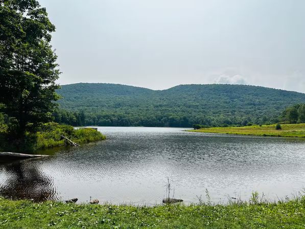 Golden Crown Cabin: Catskills Retreat with Game Room + Fire Pit on 5 Acres image 4